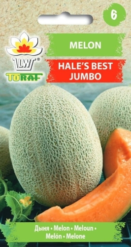 melon-hales-best-jumbo_f.jpg