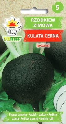 Rzodkiew  zimowa czarna Kulata Cerna 5g