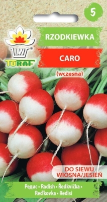 Rzodkiewka wczesna Caro 10g
