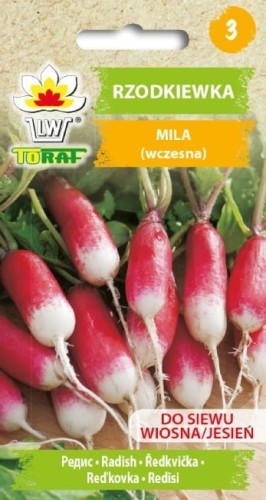 rzodkiewka-mila_f.jpg
