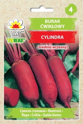 Burak ćwikłowy średnio wczesny Cylindra 10g