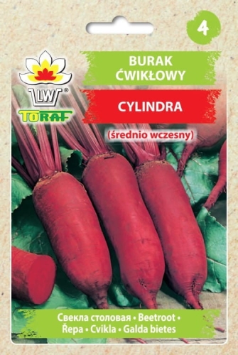 burak-cwiklowy-cylindra-srednio-wczesny_f.jpg