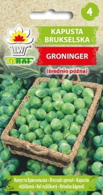 Kapusta Brukselska Groninger 2g
