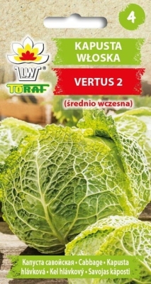 Kapusta włoska Vertus 2g