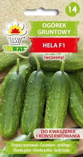 ogorek-gruntowy-hela-f1-wczesny_f.jpg