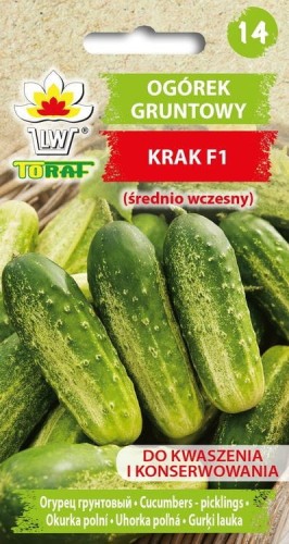 ogorek-gruntowy-krak-f1-srednio-wczesny_f.jpg