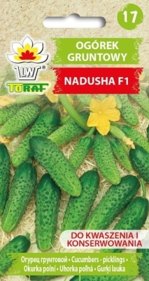 Ogórek gruntowy Nadusha 1g