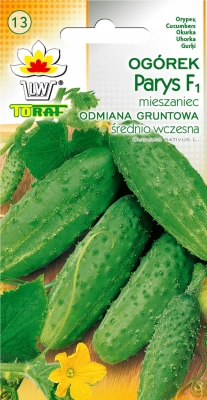 Ogórek gruntowy Parys F1 4g