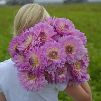 Dalia Miss Deliah