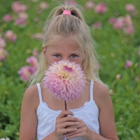 Dalia Pinelands Princess