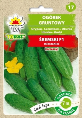 Ogórek gruntowy Śremski F1 5gr wczesny - na taśmie 7m