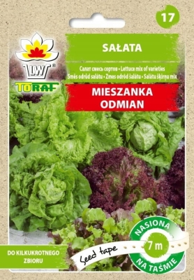 Sałata mix odmian na taśmie 7m