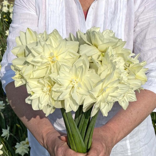 Narcyz White Medal.jpg