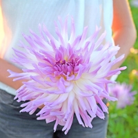 Dalia Mingus Randy.jpgg
