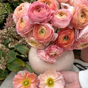 Jaskier Elegance Salome® 7szt