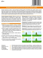 Grzybnia Borowika szlachetnego
