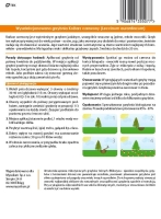 Grzybnia Koźlarz czerwony