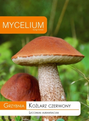 Grzybnia Koźlarz czerwony 10g