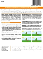 Grzybnia Podgrzybek brunatny