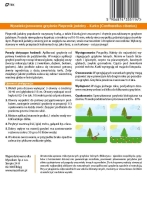 Grzybnia Pieprznik - Kurka