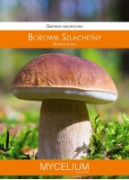 Grzybnia mikoryzowa Borowik szlachetny