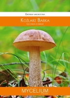 Grzybnia mikoryzowa Koźlarz babka