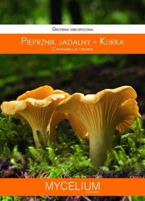 Grzybnia mikoryzowa Pieprznik jadany - Kurka 60ml