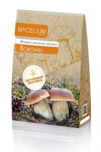 Grzybnia wyselekcjonowana Borowiki 120ml