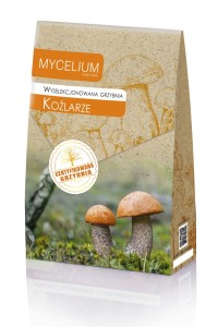 Grzybnia wyselekcjonowana Koźlarze 120ml