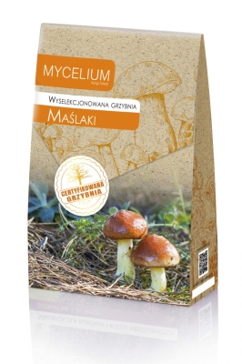 Grzybnia wyselekcjonowana Maślaki 120ml