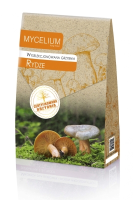 Grzybnia wyselekcjonowana Rydze 120ml