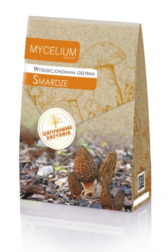 Mikoryza Smardze
