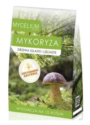 Żywa grzybnia mikoryzowa do drzew iglastych i liściastych
