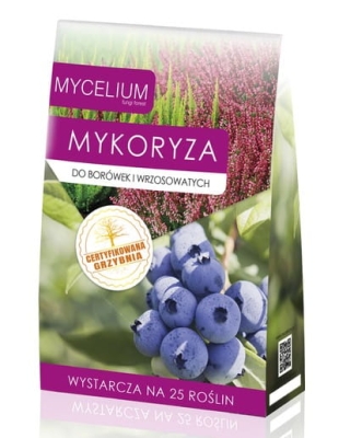 Żywa grzybnia mikoryzowa do borówek i wrzosowatych