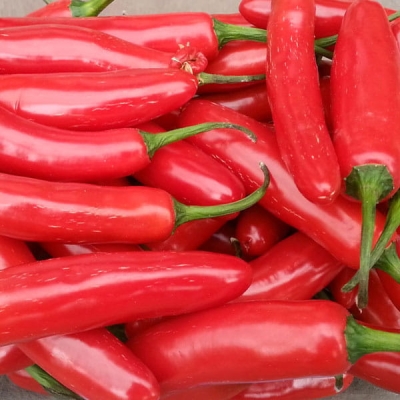 Nasiona papryki Serrano