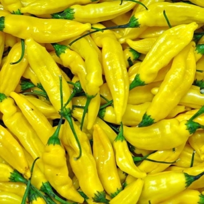 Nasiona papryki Lemon Drop