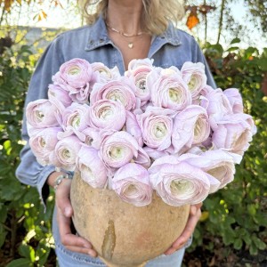 Jaskier Cloni Success Nebbia 3szt