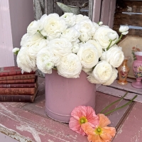 Ranonkels Elegance Bianco® (2).jpg