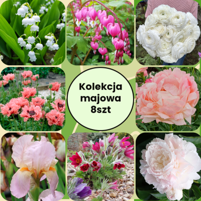 Kolekcja majowa 8szt